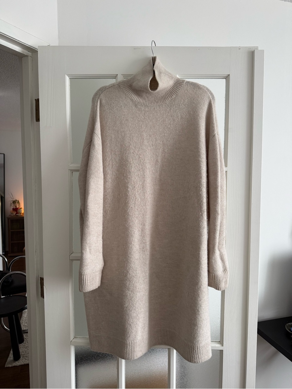 Zara Turtleneck Sweater Dress